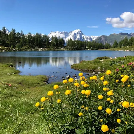 La Lupa - In The Heart Of With Car Box Apartment *