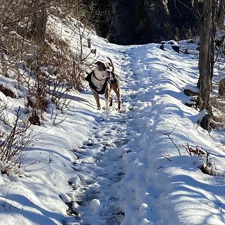 La Lupa - In The Heart Of With Car Box * Aosta