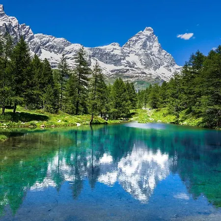 La Lupa - In The Heart Of With Car Box Daire *