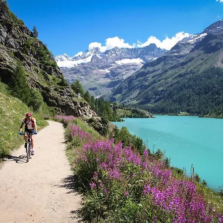 Daire La Lupa - In The Heart Of With Car Box