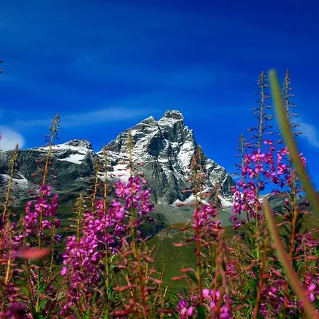 La Lupa - In The Heart Of With Car Box * Aosta