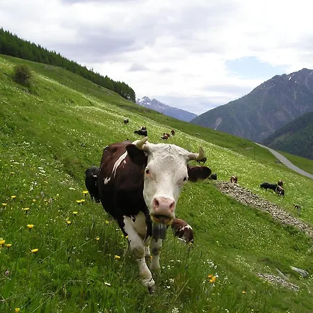 La Lupa - In The Heart Of With Car Box Apartment Aosta